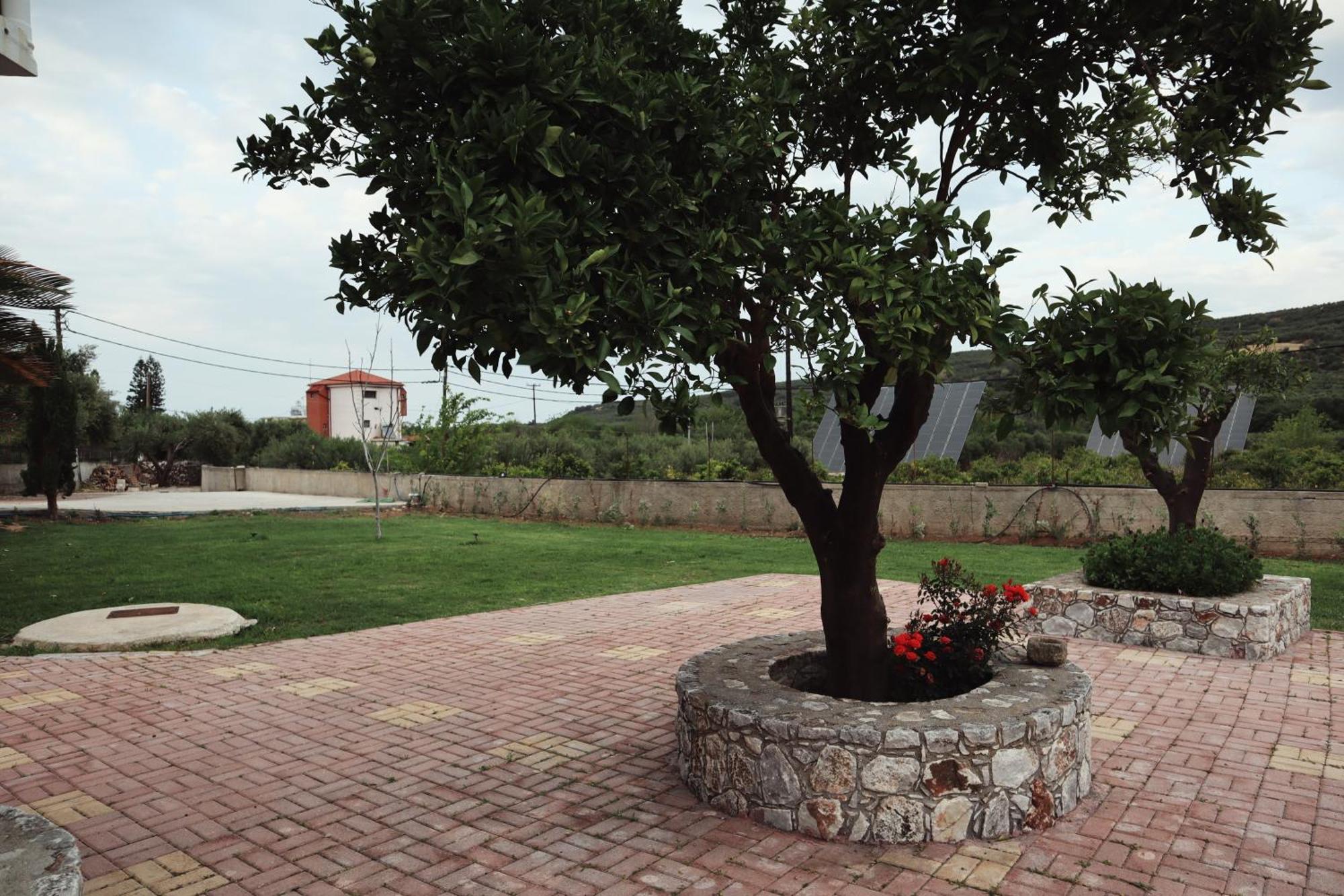 Villa Elea Apartments Spilia  Exterior photo