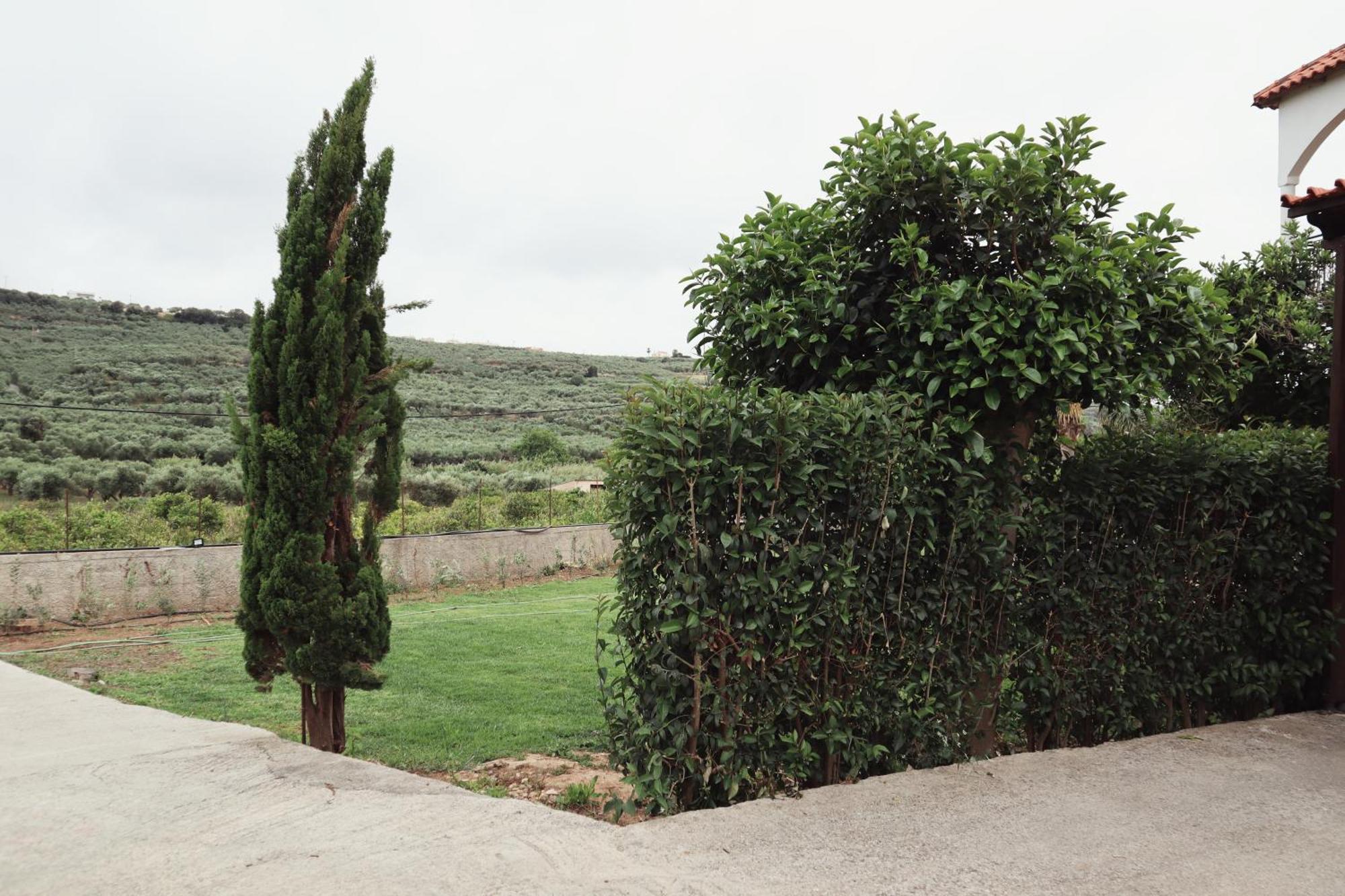 Villa Elea Apartments Spilia  Exterior photo